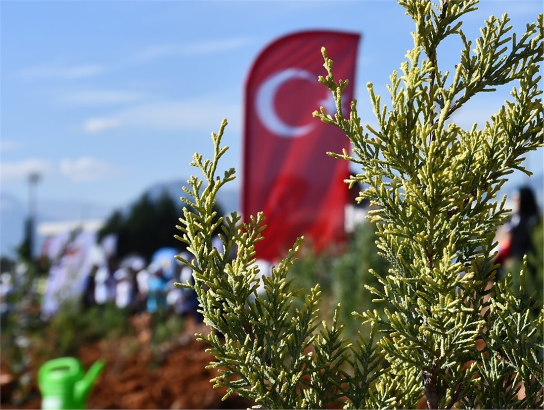 Ceza İnfaz Kurumları ve Denetimli Serbestlik Müdürlüklerinde Milli Ağaçlandırma Günü Etkinlikleri Düzenlendi